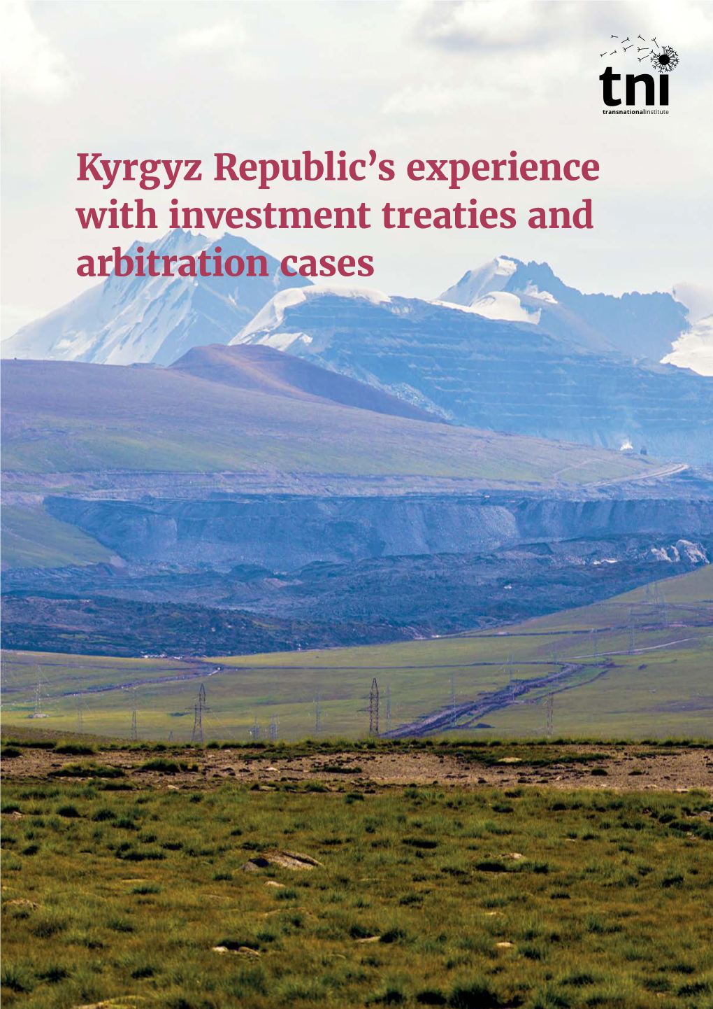 Kyrgyz Republic's Experience with Investment Treaties and Arbitration Cases