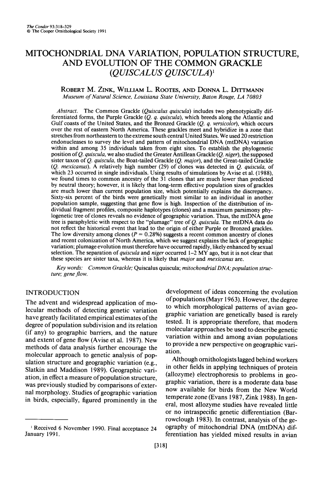 Mitochondrial Dna Variation, Population Structure, and Evolution of the Common Grackle (Quiscalus Quiscula) ’