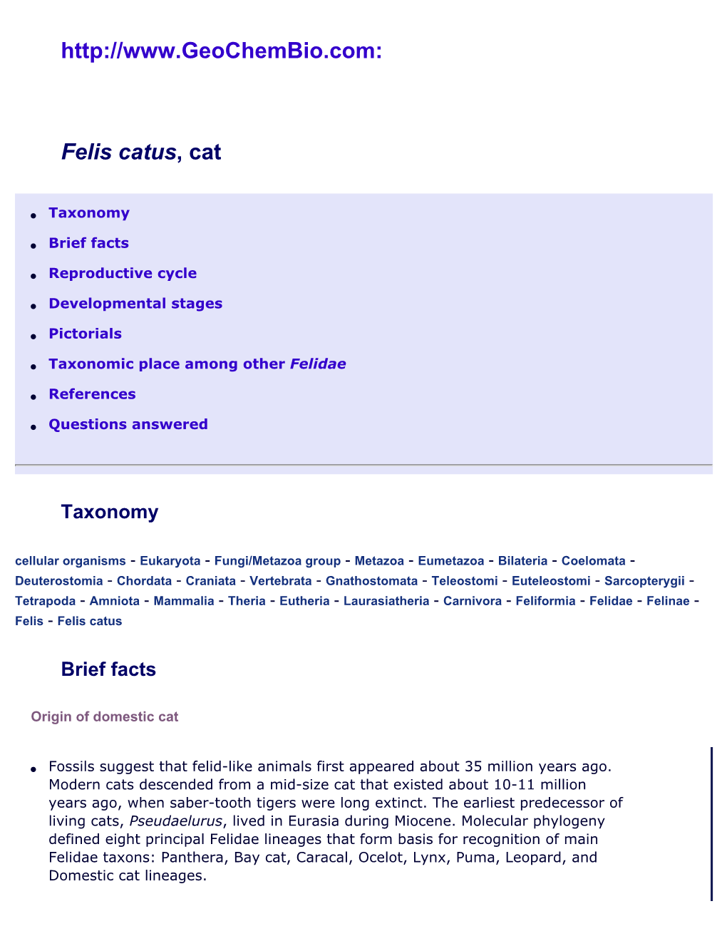 Felis Catus, Domestic Cat at Geochembio: Taxonomy, Brief Facts