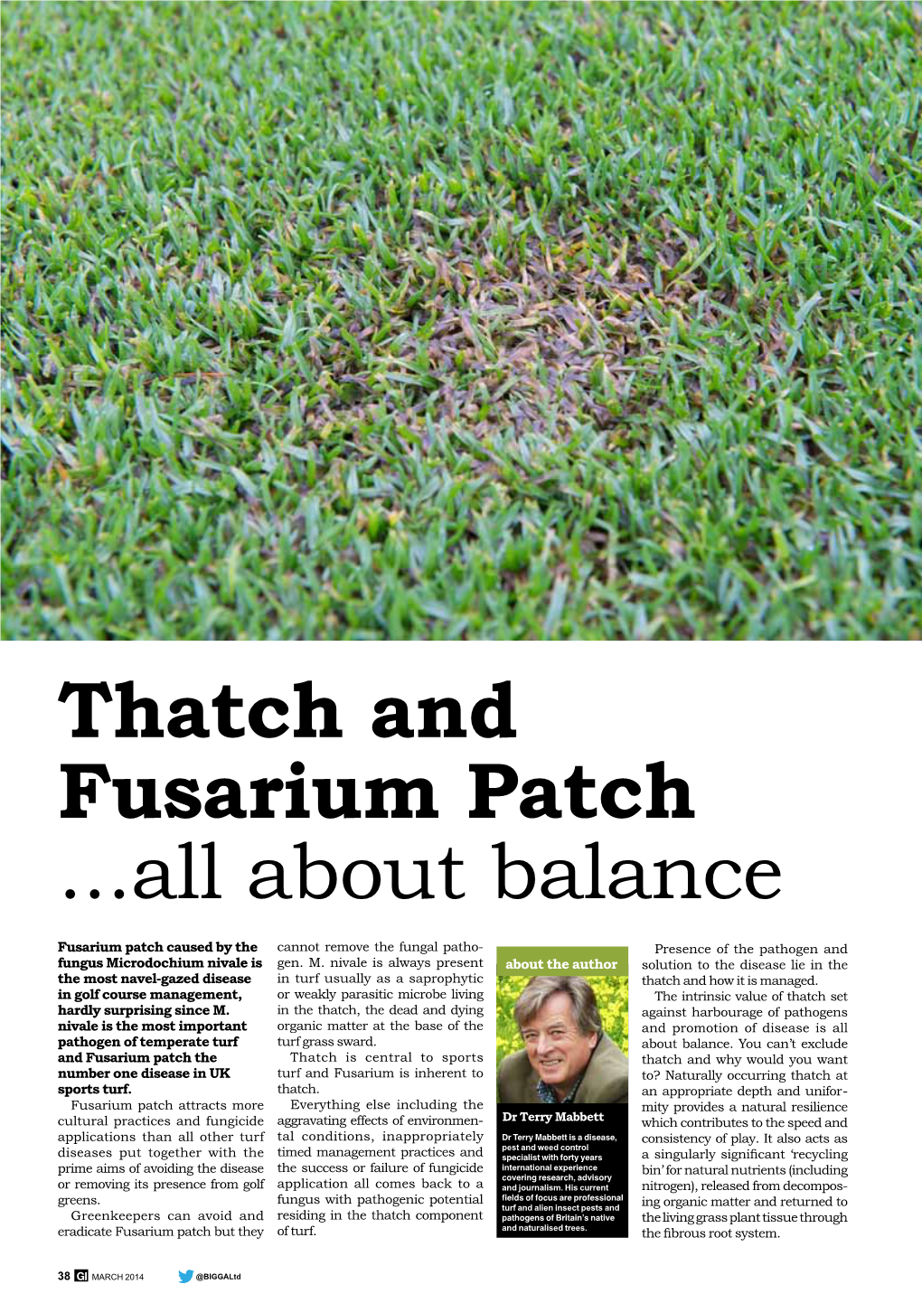 Thatch and Fusarium Patch ...All About Balance