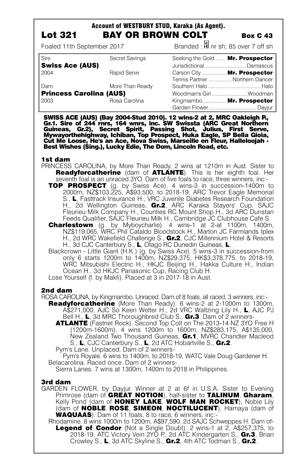 Lot 321 BAY OR BROWN COLT Box C 43 Foaled 11Th September 2017 Branded: Nrsh;85Over7 Offsh