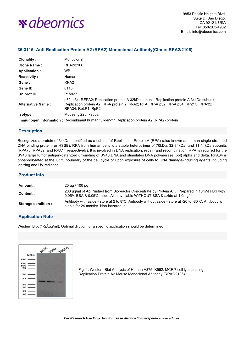 36-3115: Anti-Replication Protein A2 (RPA2) Monoclonal Antibody(Clone: RPA2/2106) Description Product Info Application Note