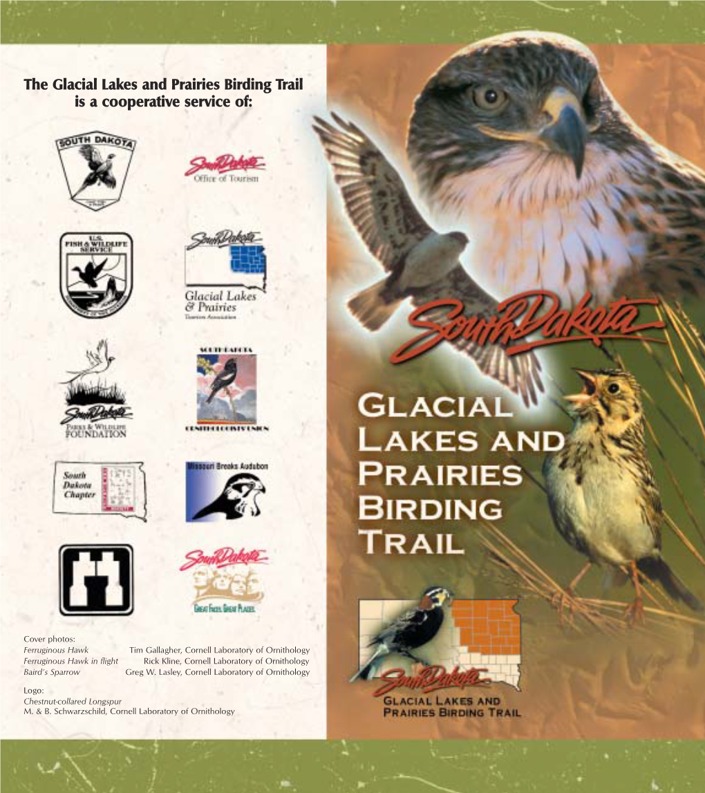 Glacial Lakes Birding Trail