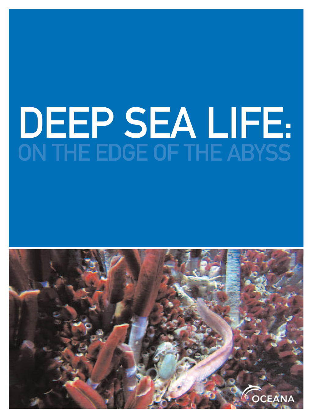 Deep Sea Life: on the Edge of the Abyss