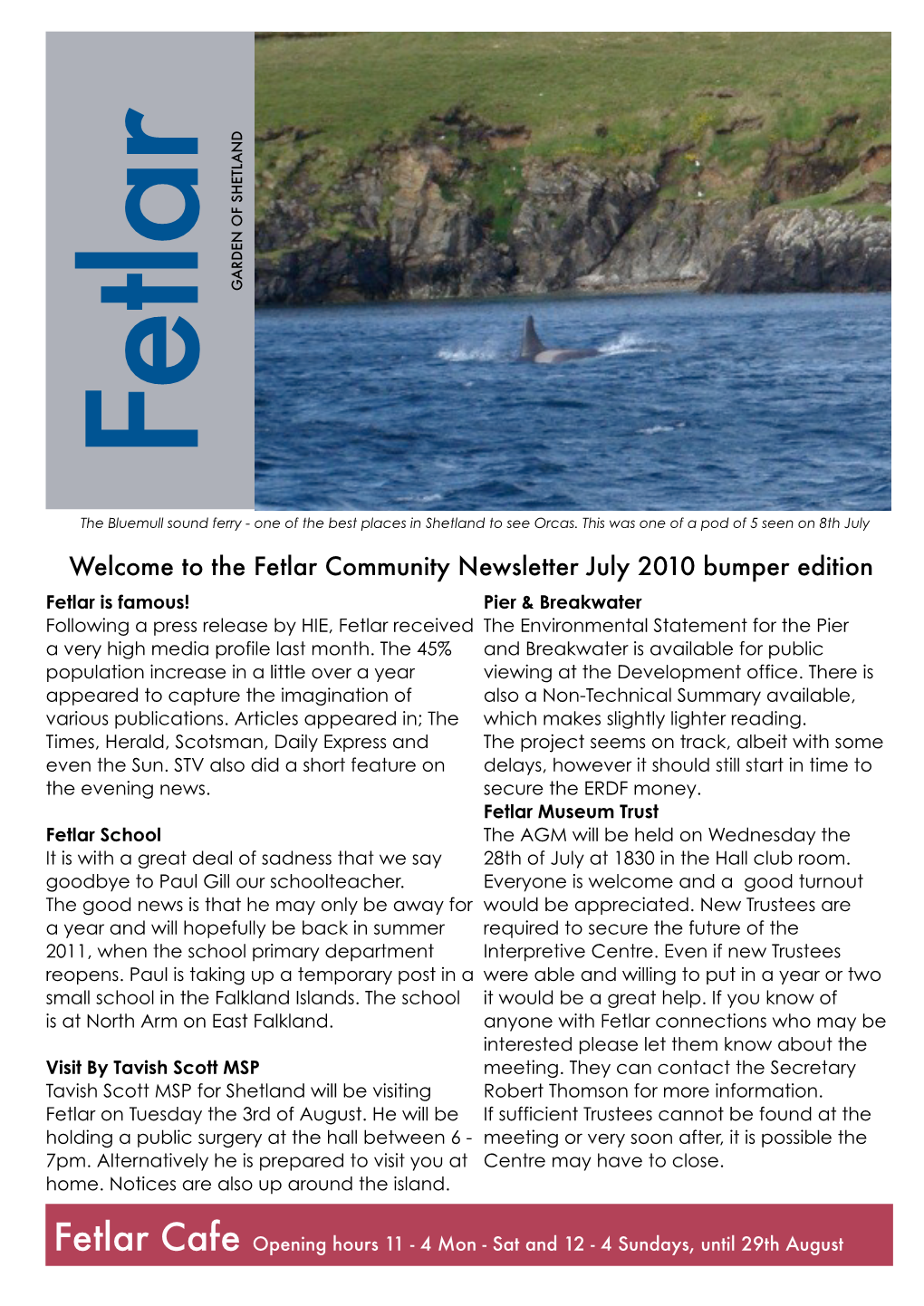 Fdl Newsletter July 2010