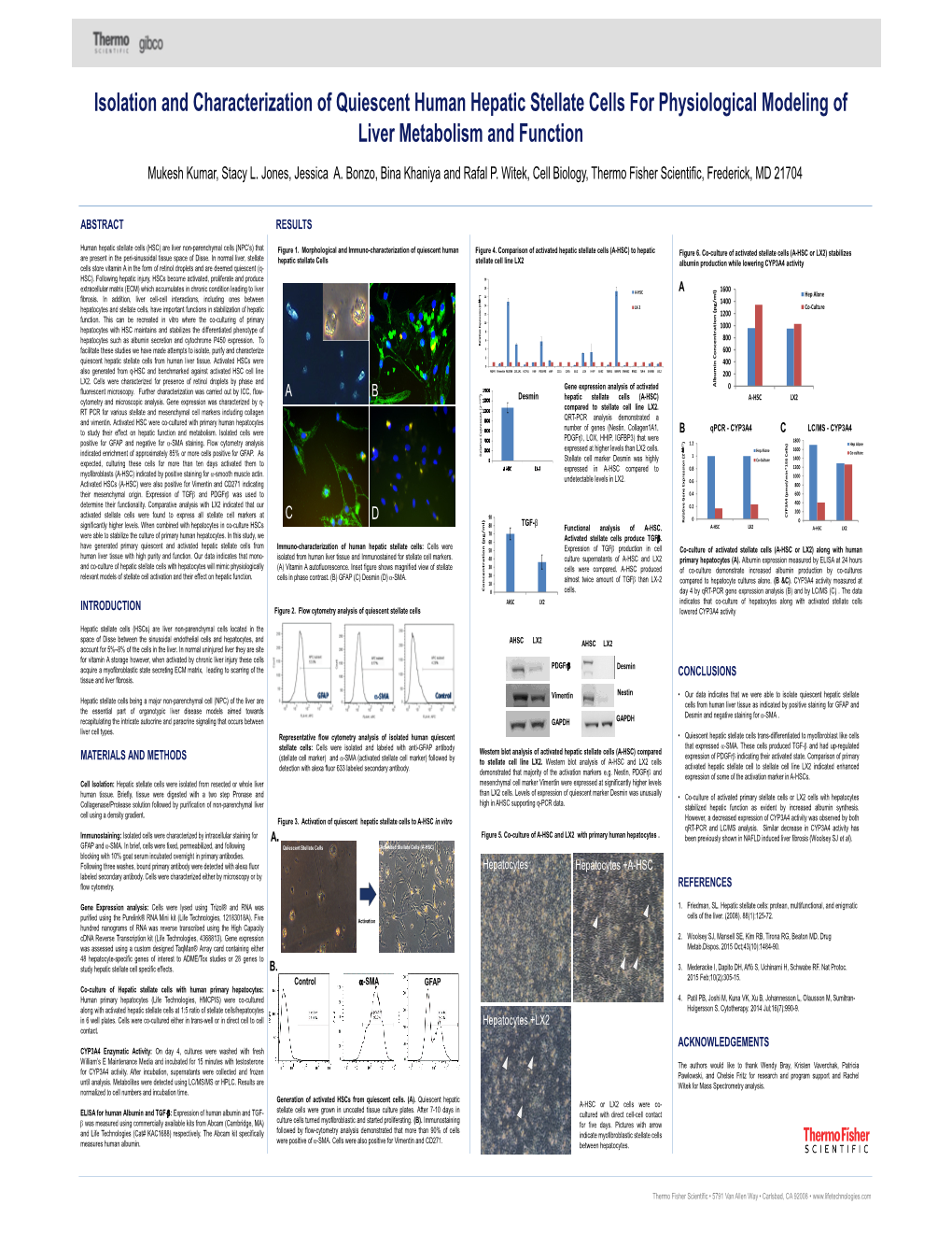 Isolation and Characterization of Quiescent Human Hepatic Stellate Cells for Physiological Modeling of Liver Metabolism and Function