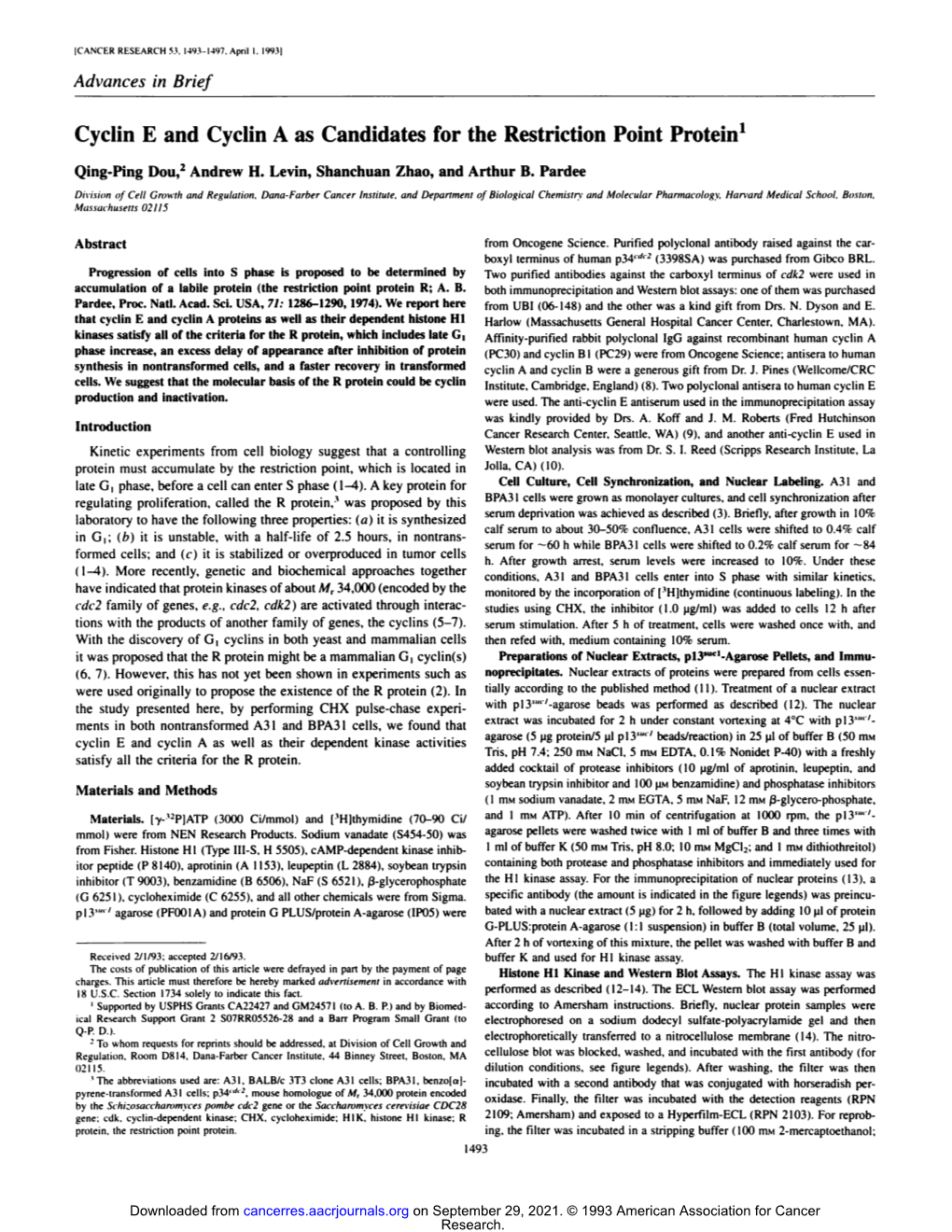 Cyclin E and Cyclin a As Candidates for the Restriction Point Protein1