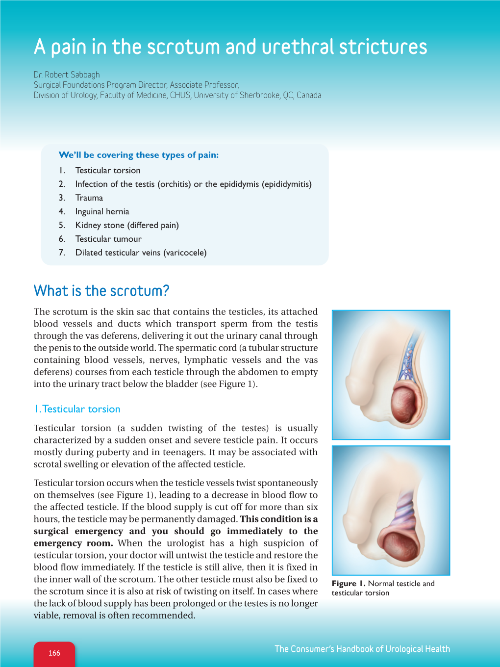 A Pain in the Scrotum and Urethral Strictures