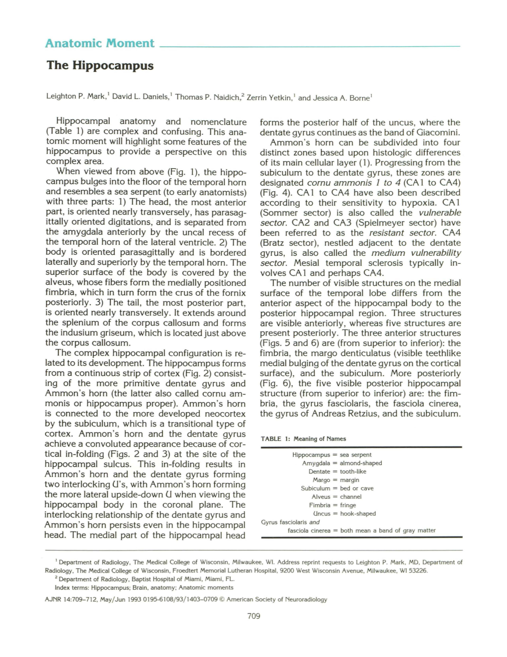 Anatomic Moment the Hippocampus