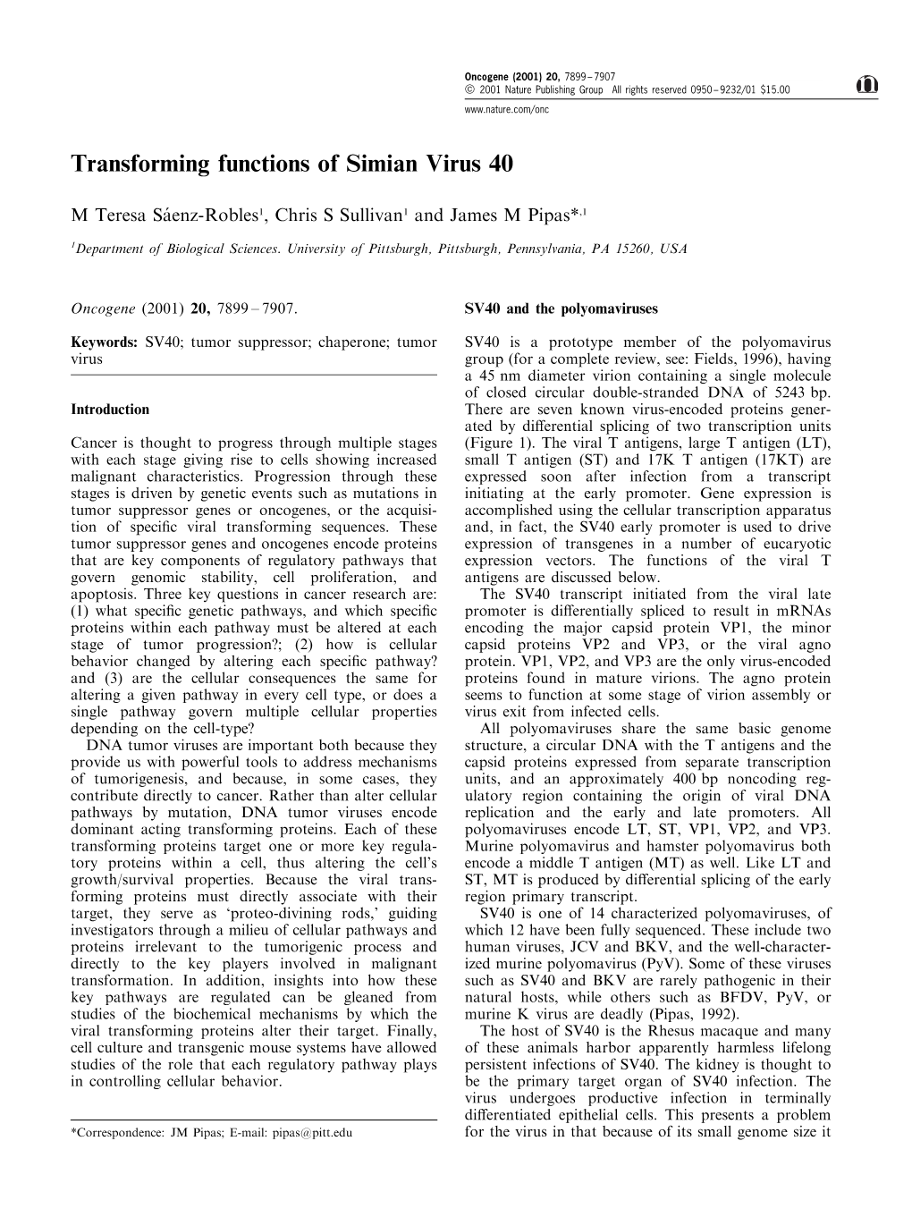 Transforming Functions of Simian Virus 40