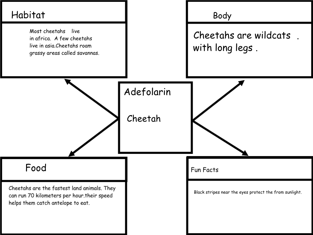 Habitat Adefolarin Cheetahs Are Wildcats . with Long Legs . Food