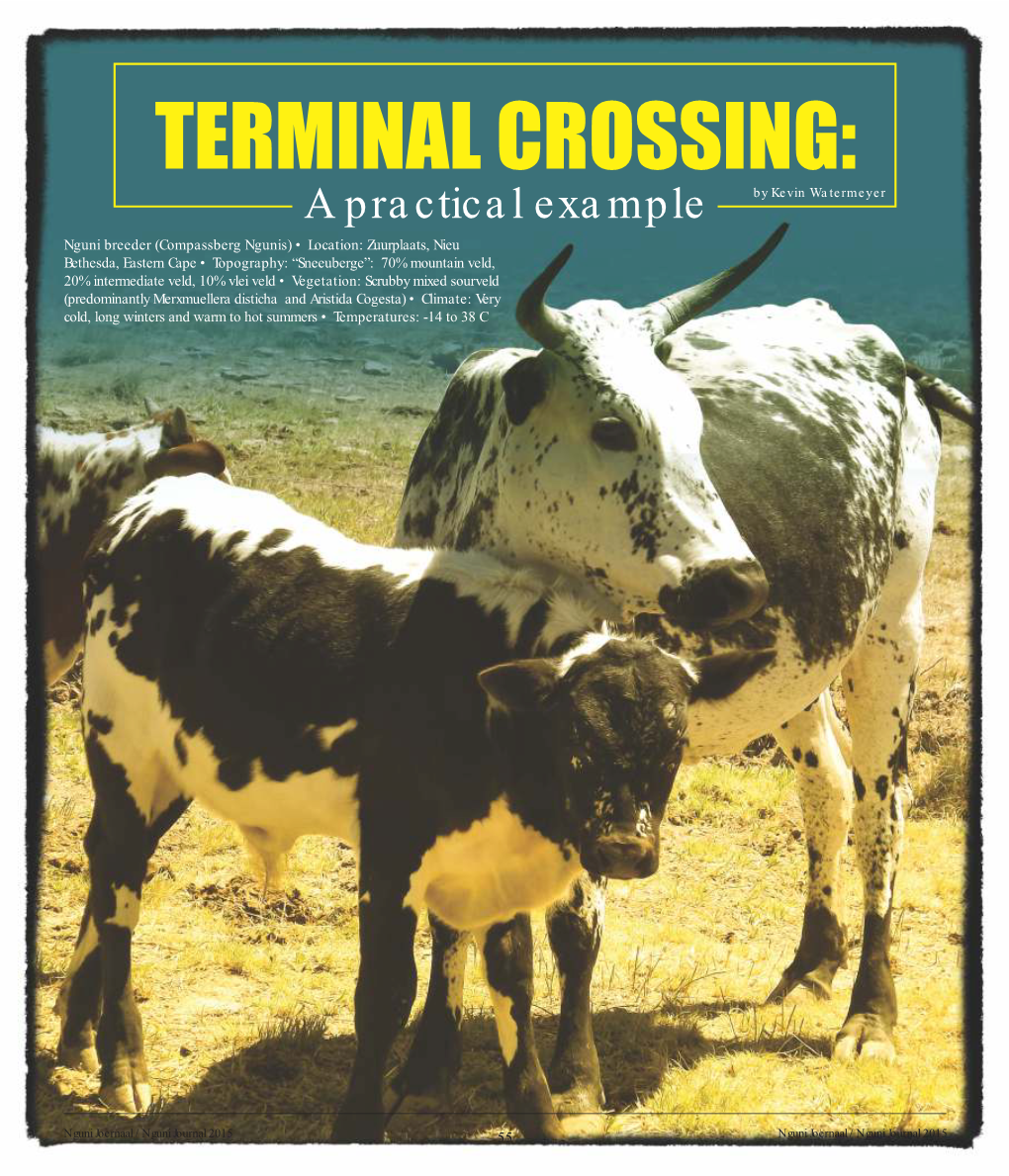 Terminal Crossing