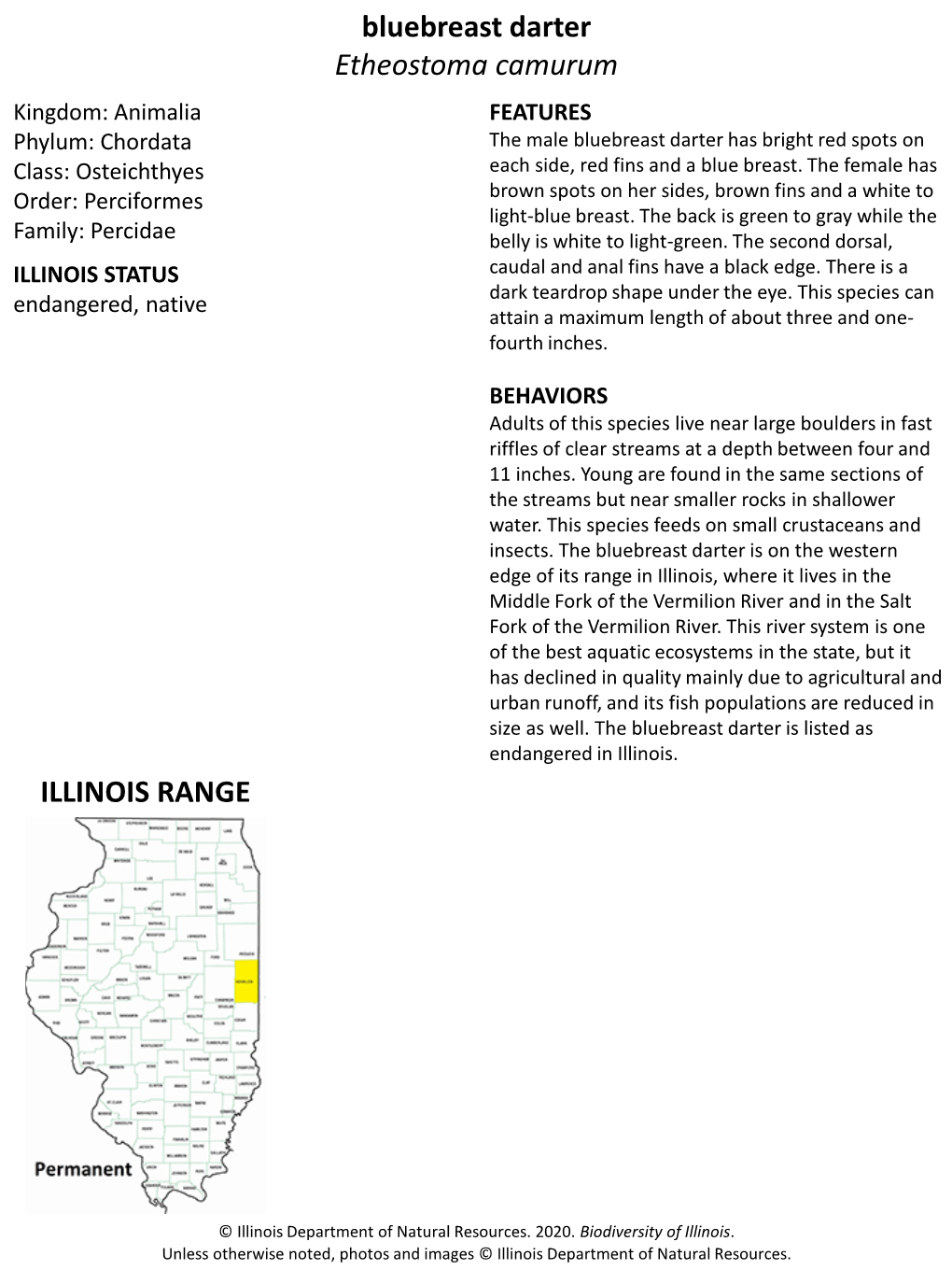 Bluebreast Darter Etheostoma Camurum ILLINOIS RANGE