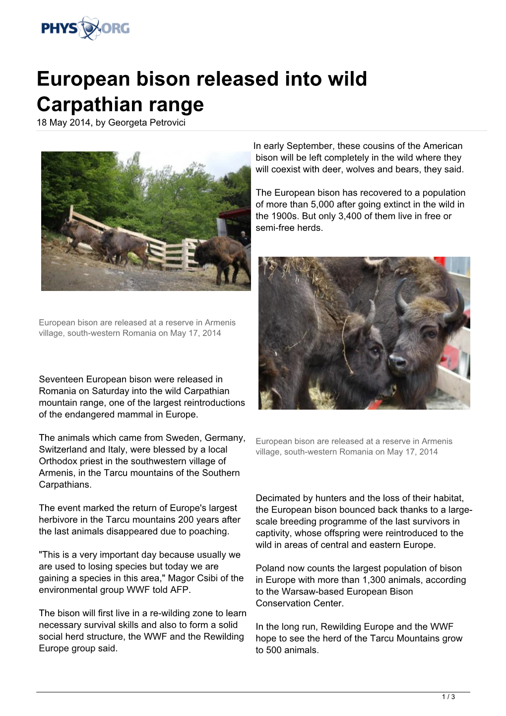 European Bison Released Into Wild Carpathian Range 18 May 2014, by Georgeta Petrovici