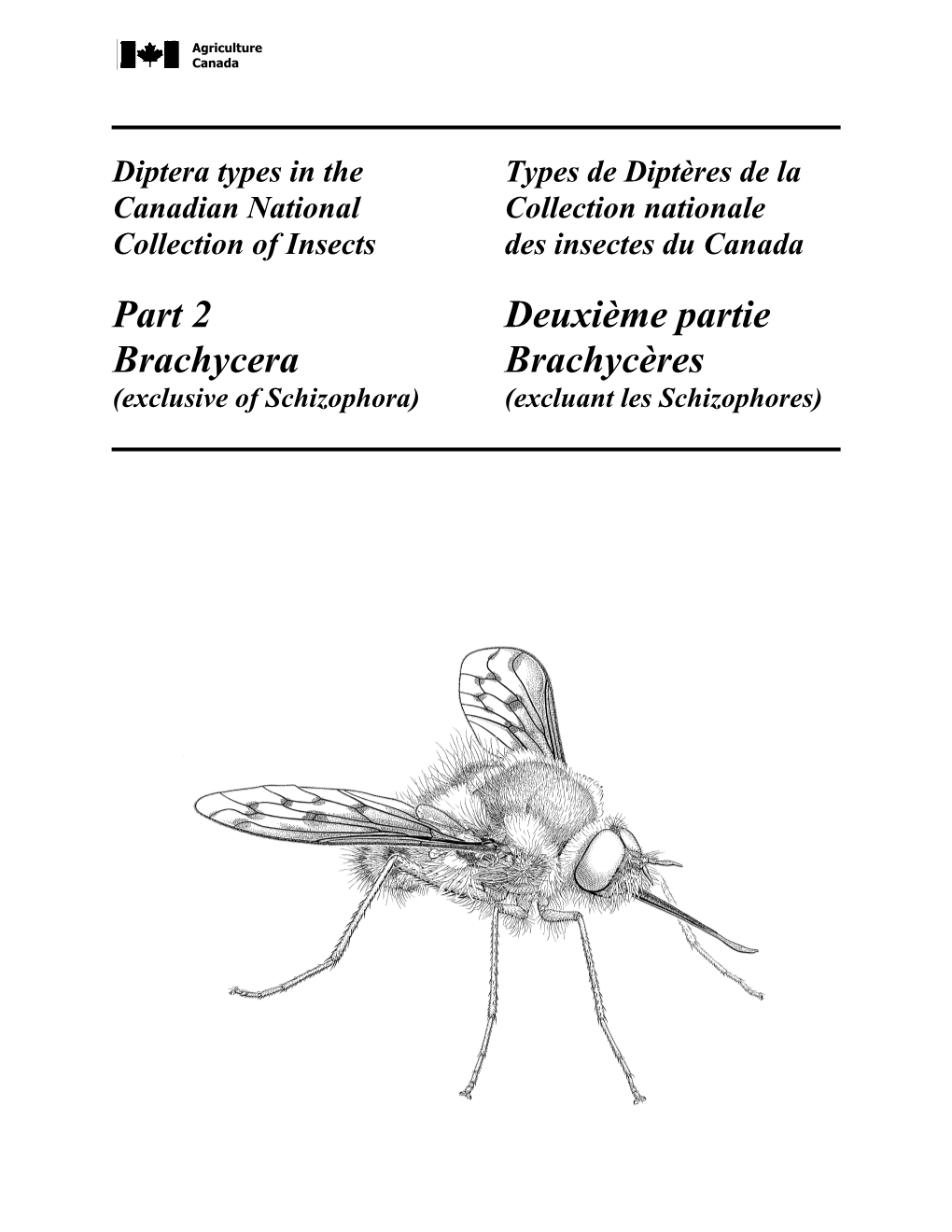 Part 2 Brachycera Deuxième Partie Brachycères