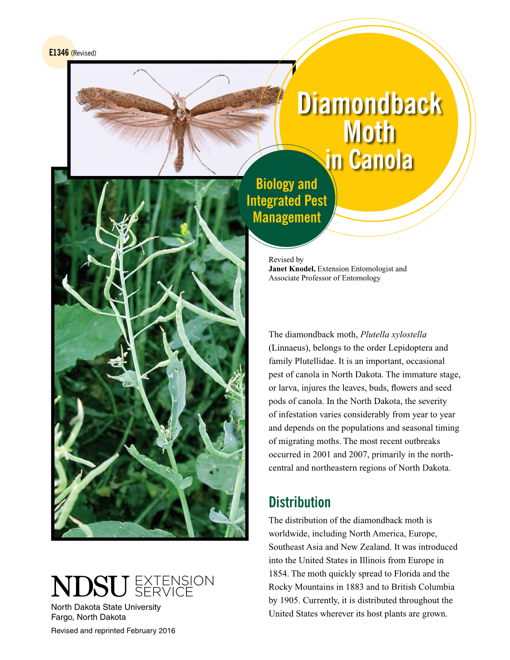 Diamondback Moth in Canola Biology and Integrated Pest Management