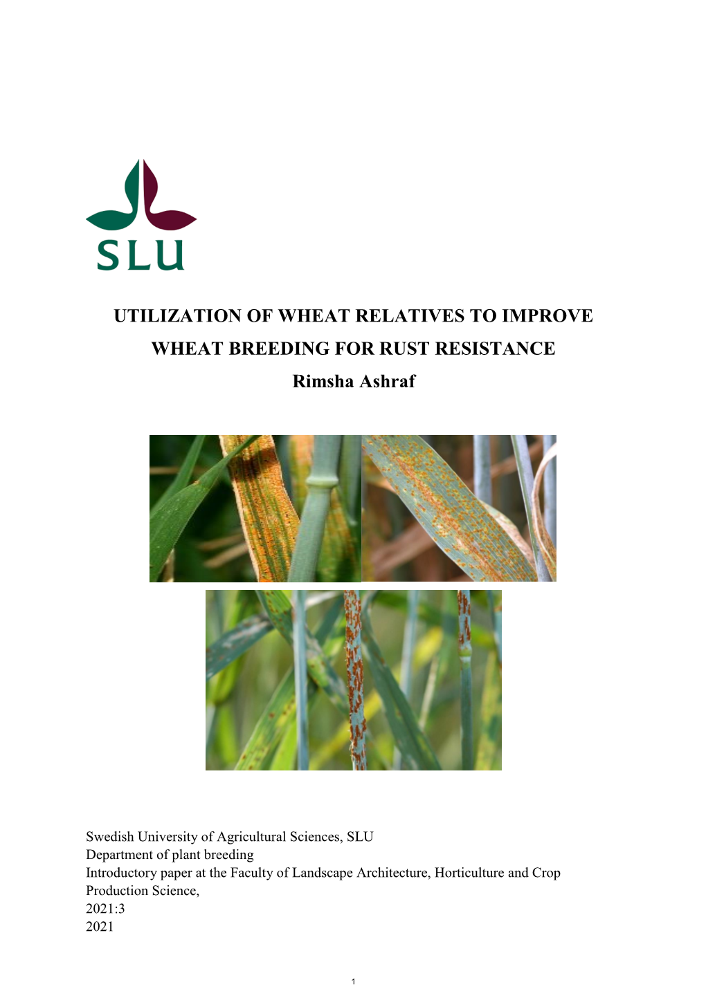 UTILIZATION of WHEAT RELATIVES to IMPROVE WHEAT BREEDING for RUST RESISTANCE Rimsha Ashraf