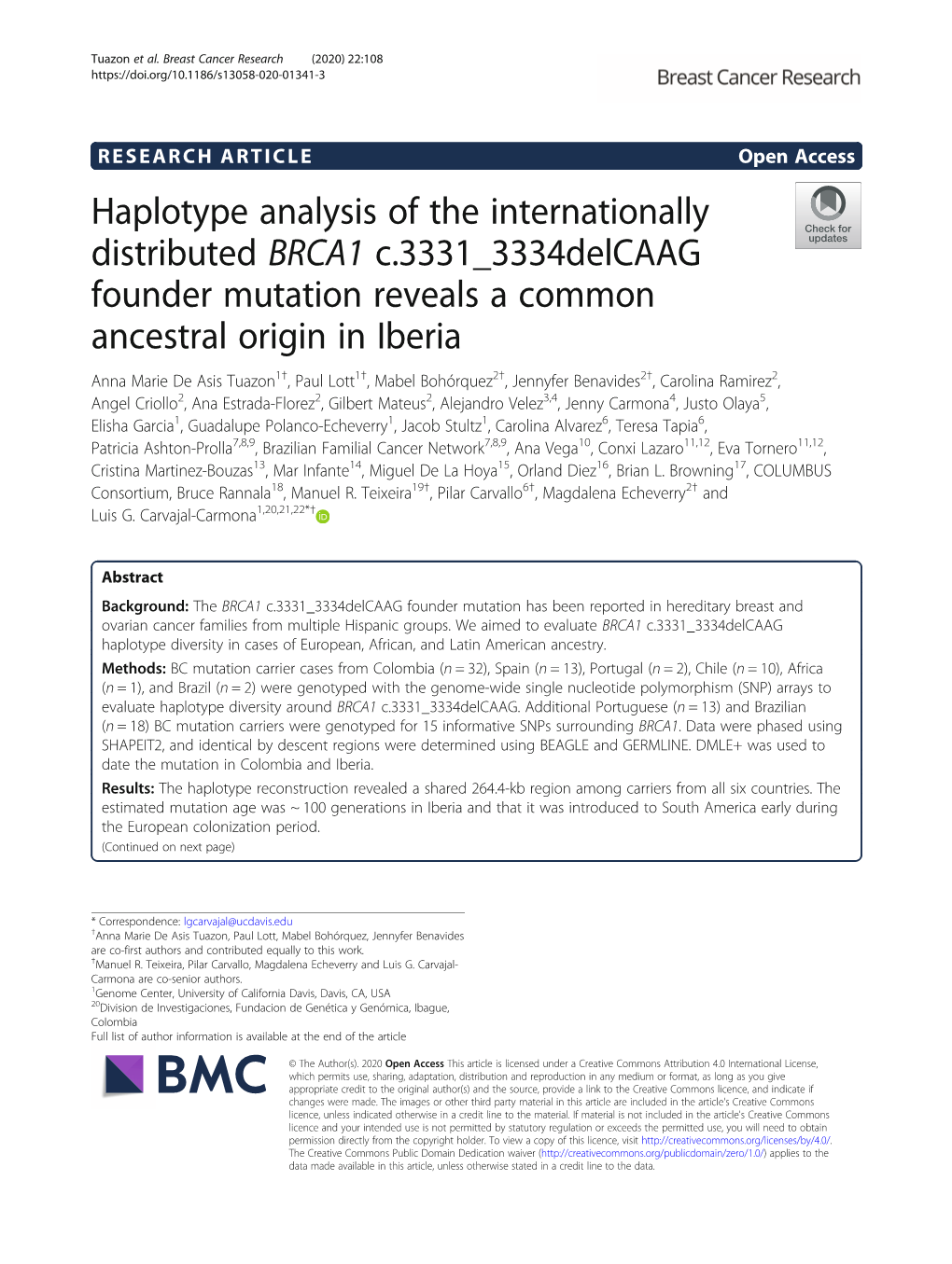 Haplotype Analysis of the Internationally Distributed BRCA1 C