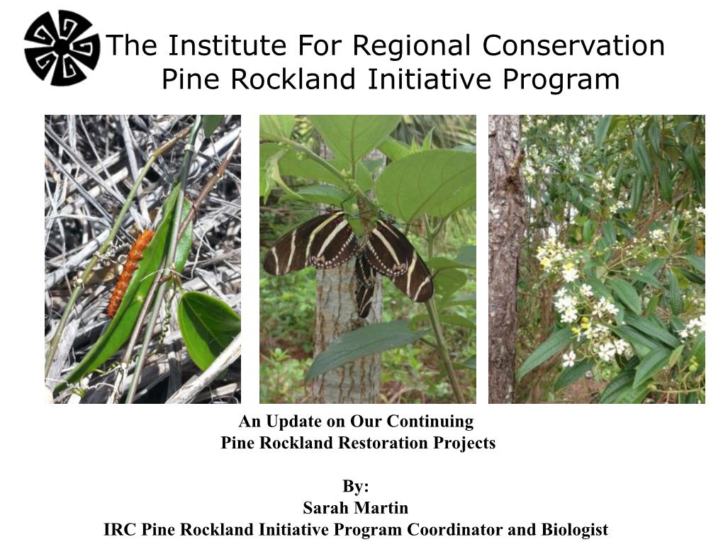 The Institute for Regional Conservation Pine Rockland Initiative Program