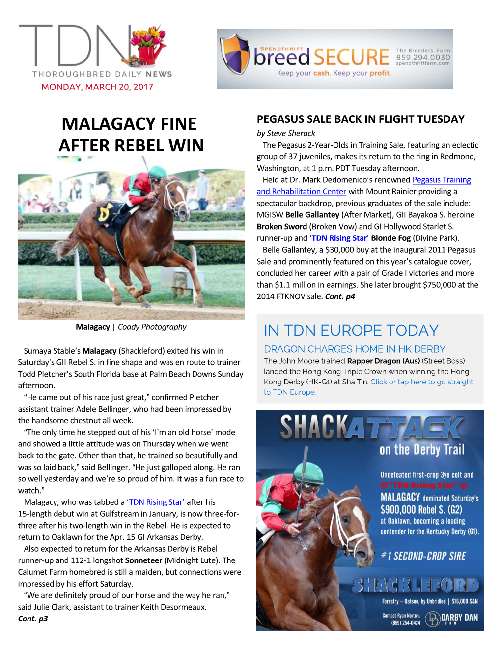 Malagacy Fine After Rebel Win (Cont