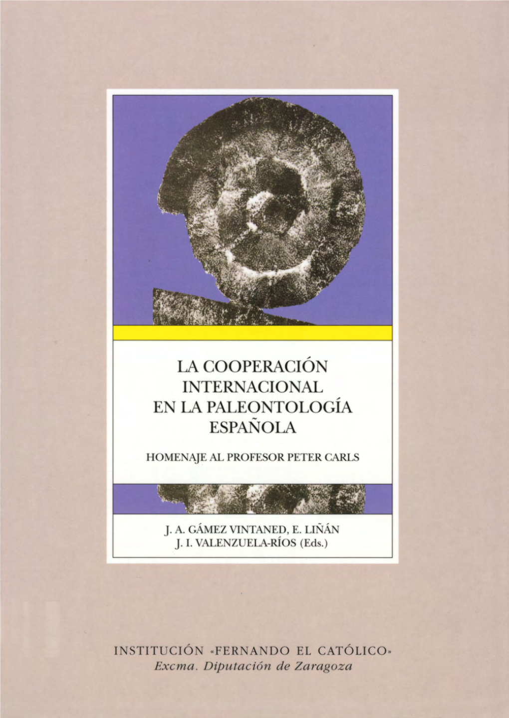 VIII Jornadas Aragonesas De Paleontología 