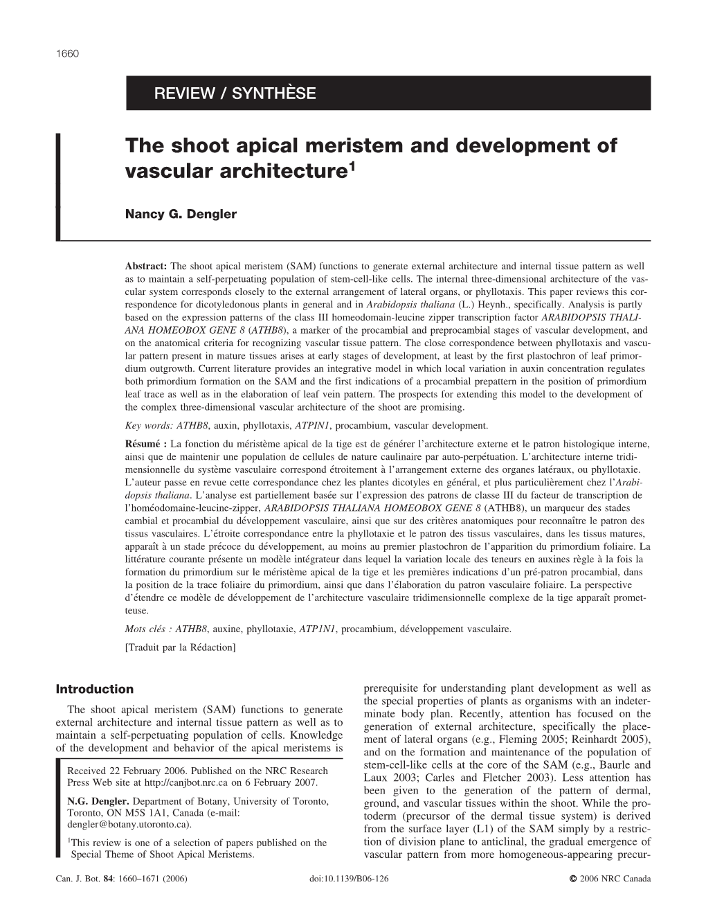 The Shoot Apical Meristem and Development of Vascular Architecture1