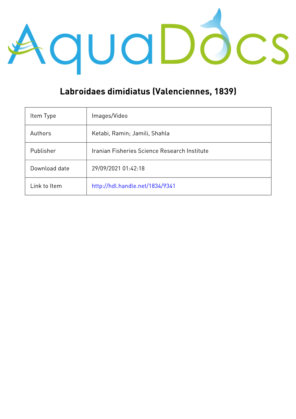 Labroidaes Dimidiatus (Valenciennes, 1839)