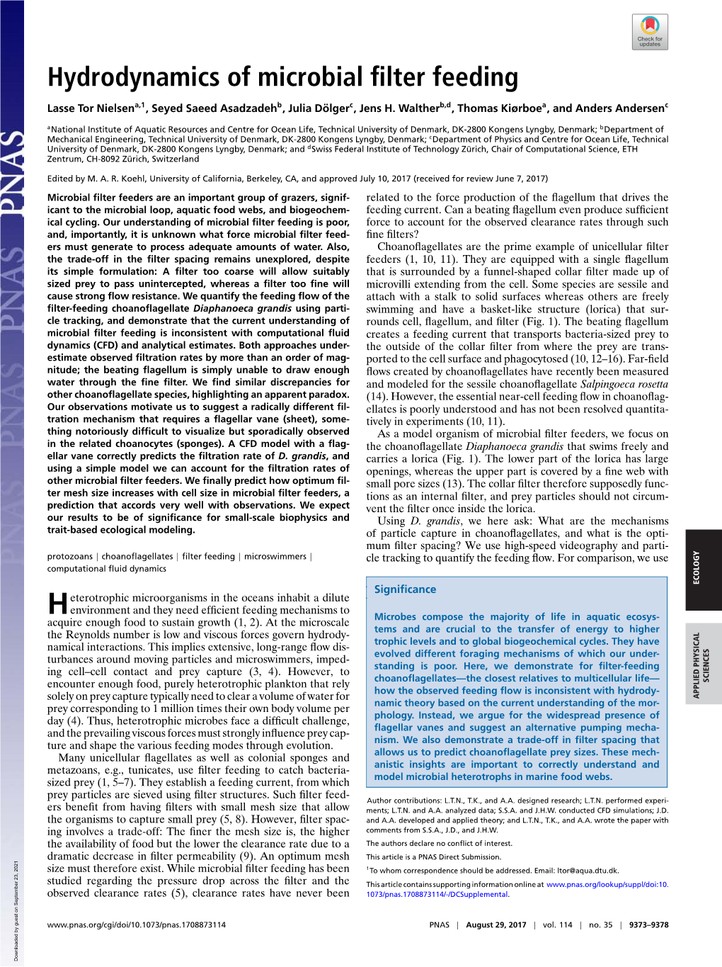 Hydrodynamics of Microbial Filter Feeding