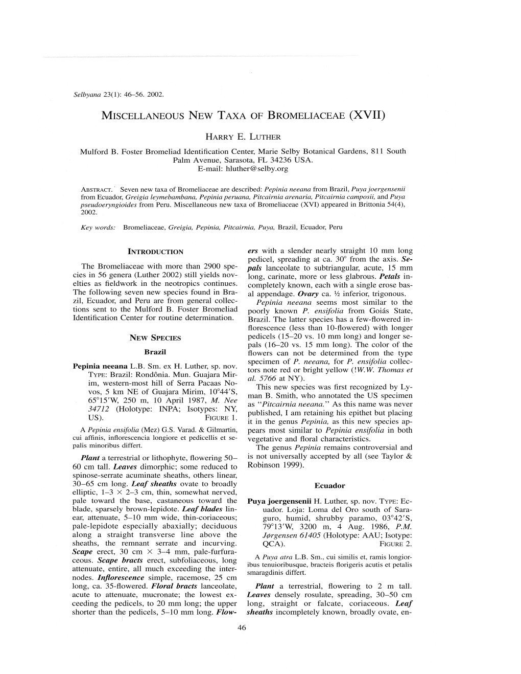 Network Scan Data