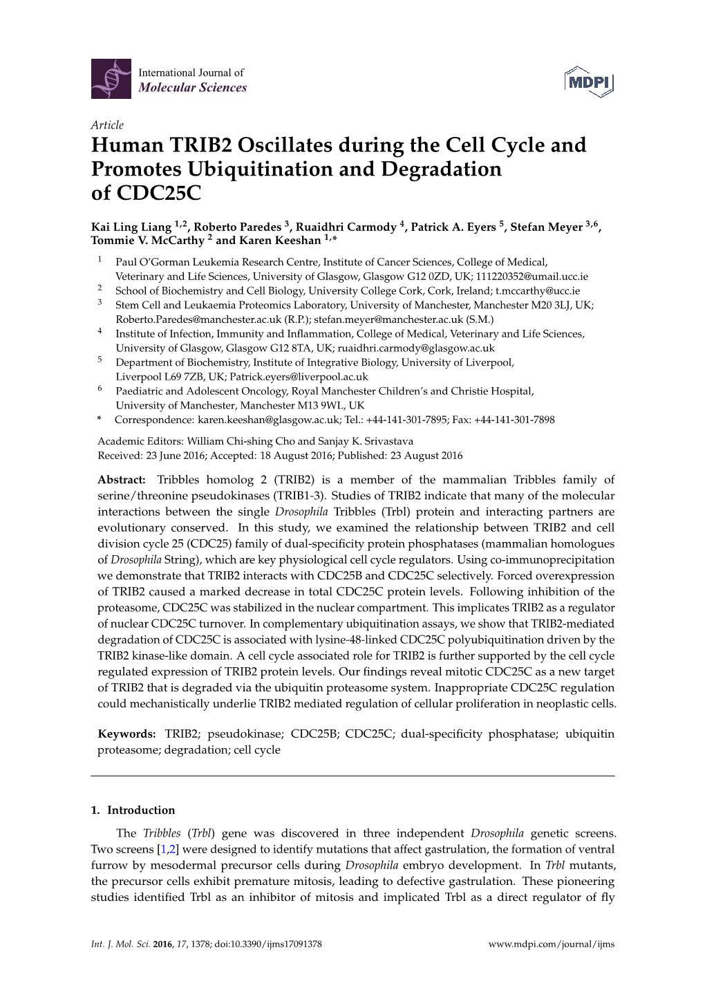 Human TRIB2 Oscillates During the Cell Cycle and Promotes Ubiquitination and Degradation of CDC25C