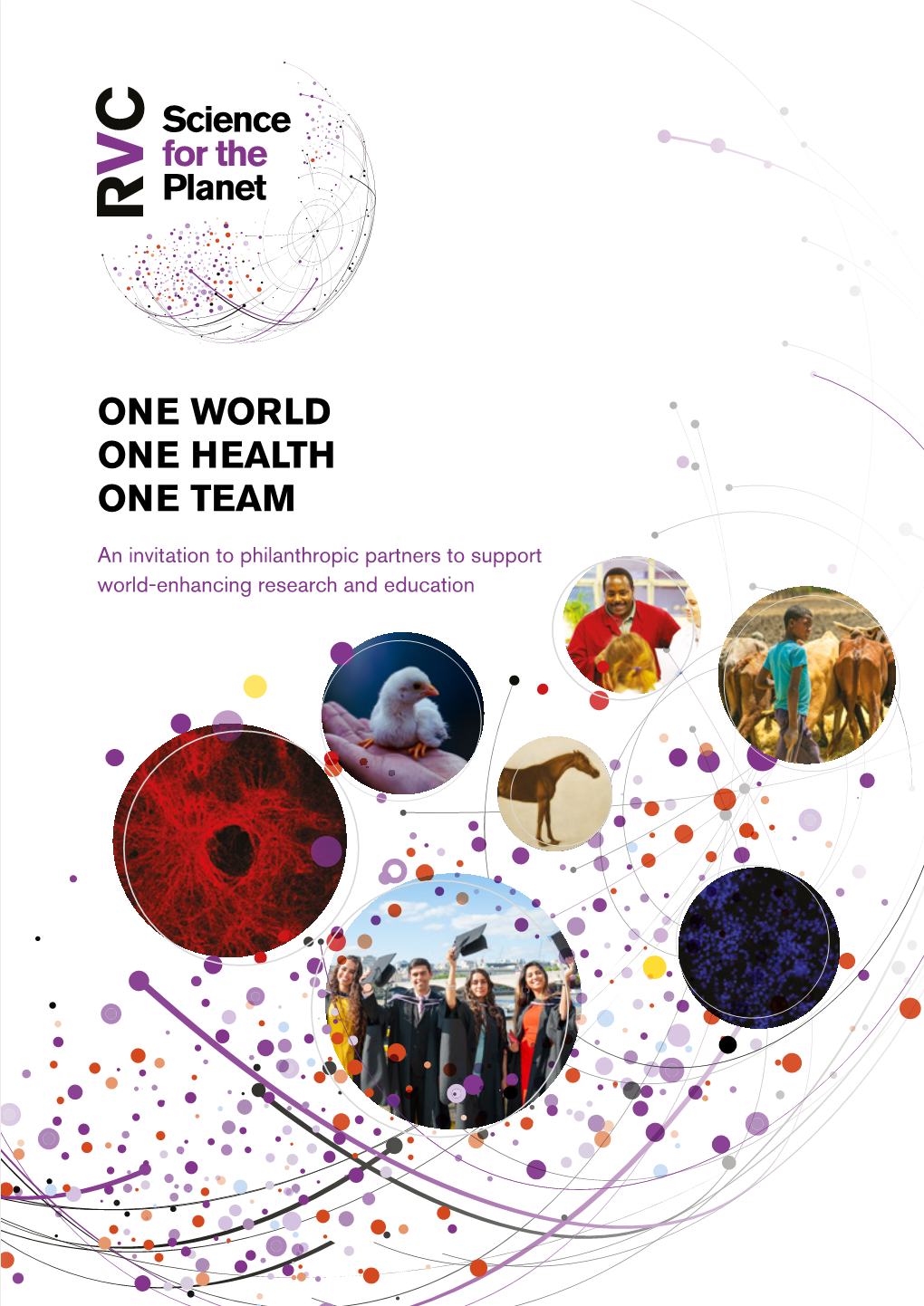 One World One Health One Team