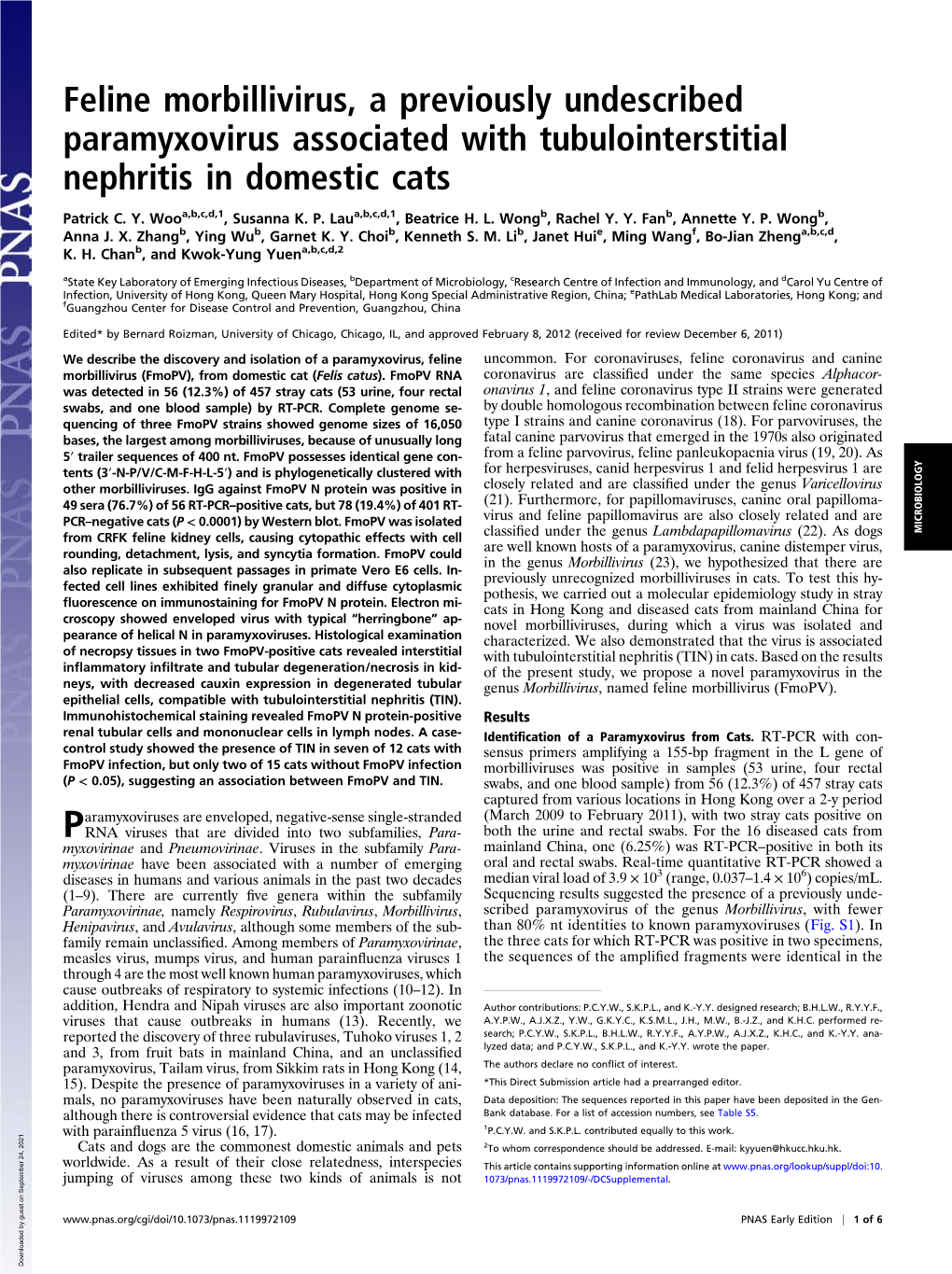 Feline Morbillivirus, a Previously Undescribed Paramyxovirus Associated with Tubulointerstitial Nephritis in Domestic Cats