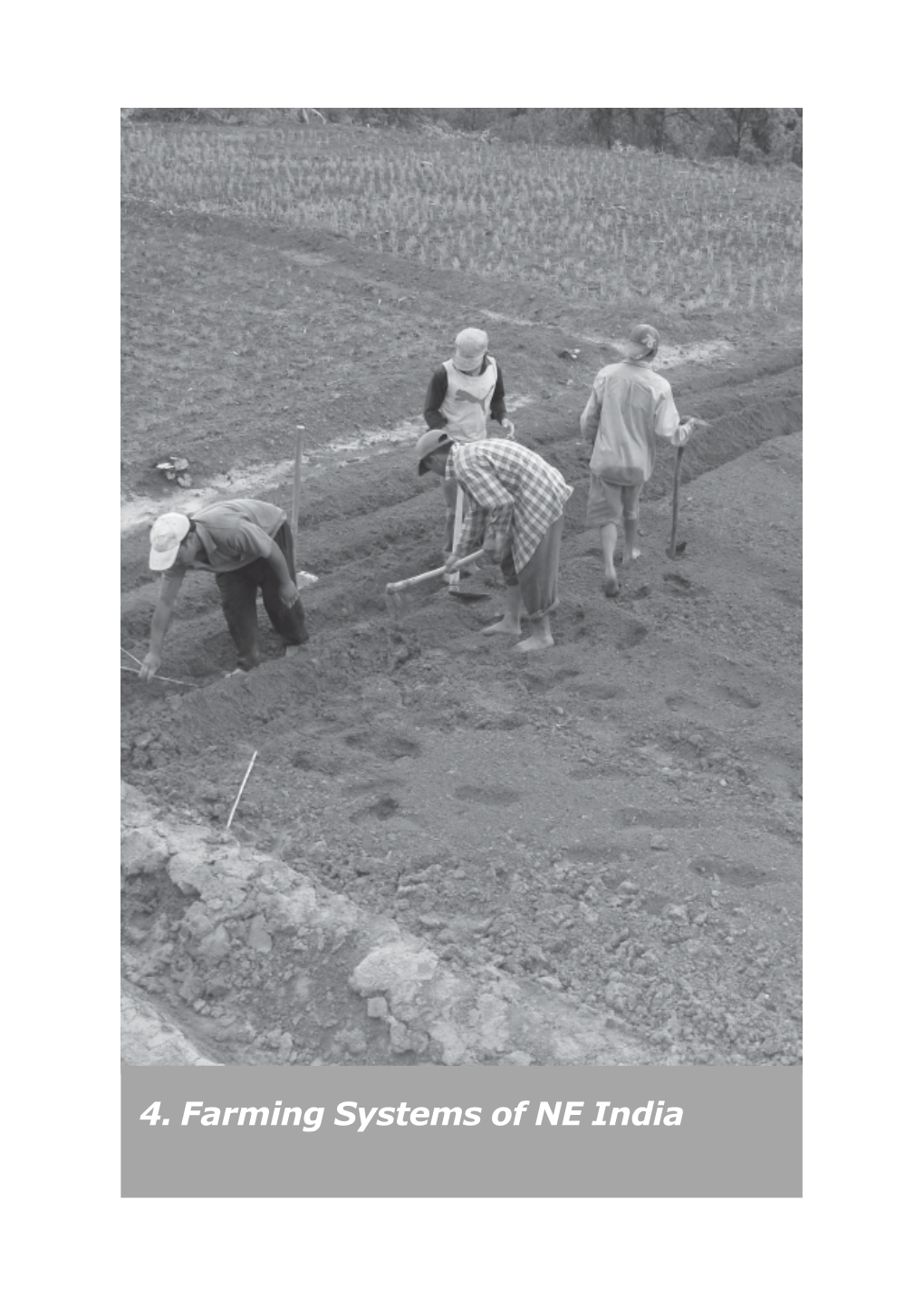 Farming Systems of NE India Blank 4.1 Farming Systems of Arunachal Pradesh Blank