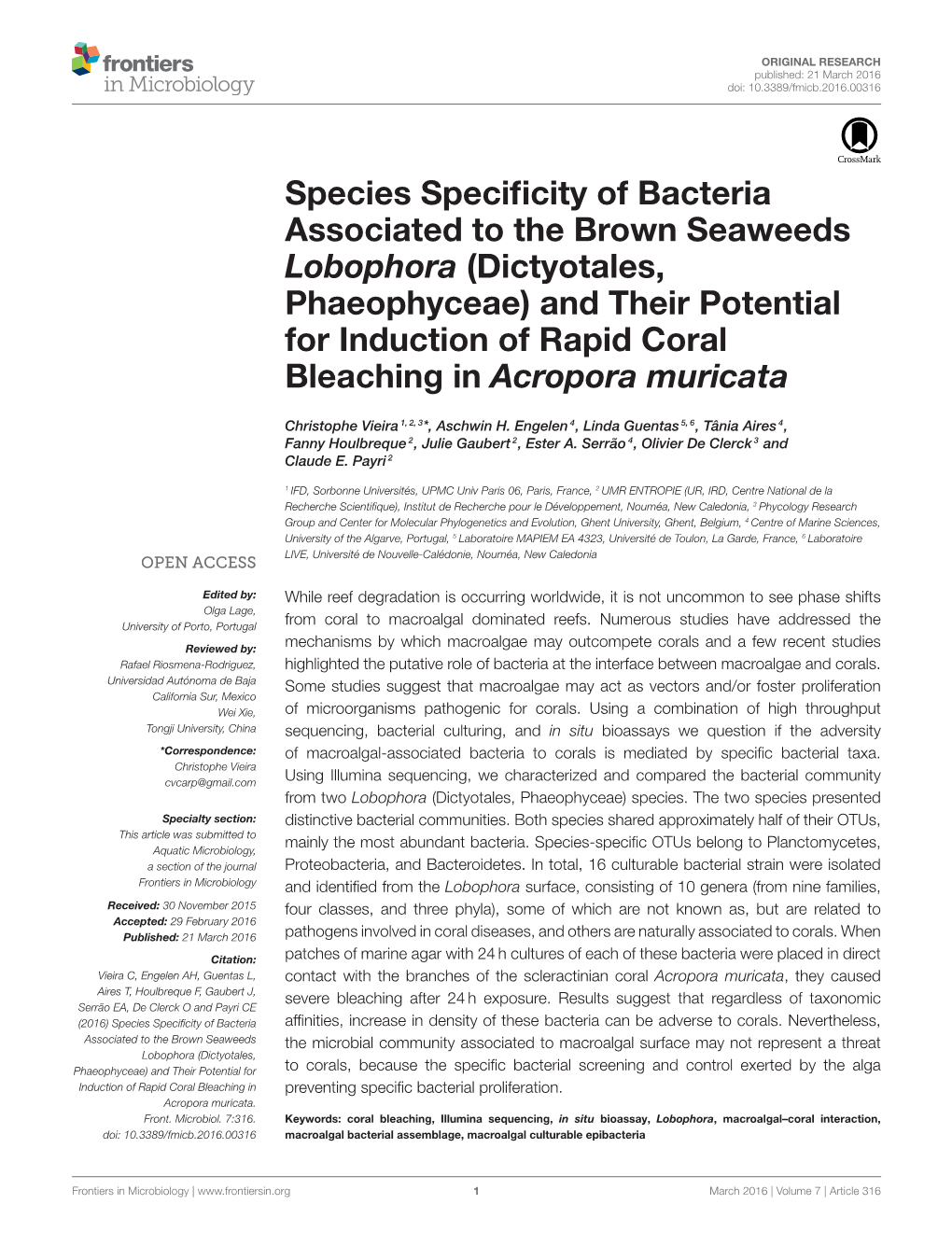 Species Specificity of Bacteria Associated to the Brown Seaweeds
