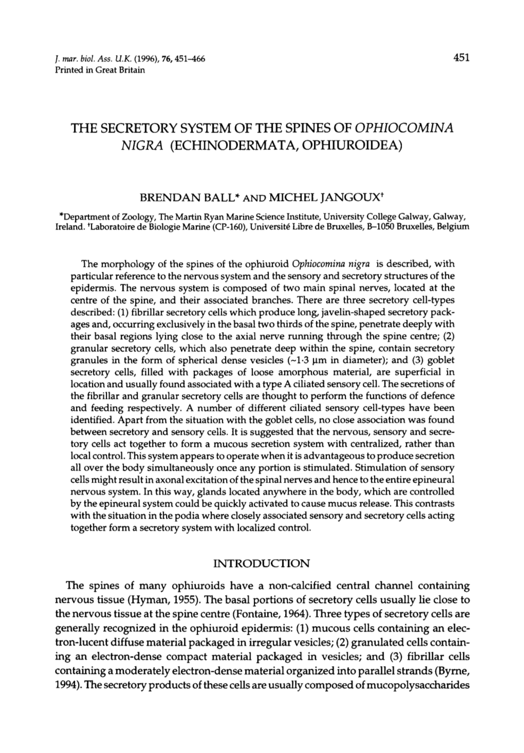 The Secretory System of the Spines of Ophiocomina Nigra (Echinodermata, Ophiuroidea)