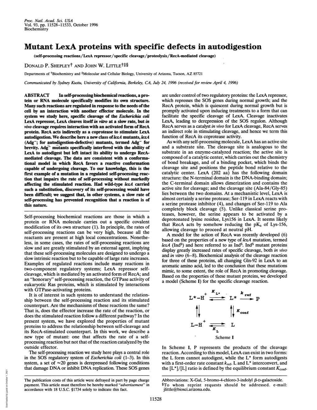 Mutant Lexa Proteins with Specific Defects in Autodigestion (Self-Processing Reactions/Lexa Repressor/Specific Cleavage/Proteolysis/Reca-Mediated Cleavage) DONALD P