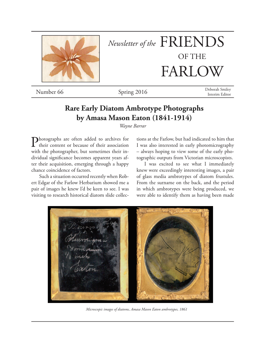 Newsletter of the FRIENDS of the FARLOW