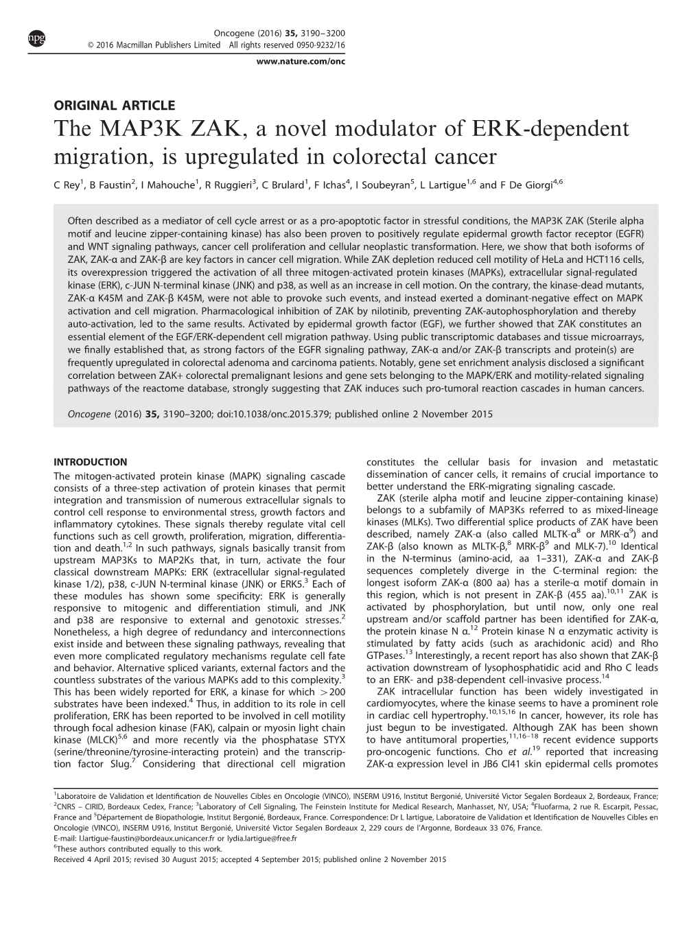 The MAP3K ZAK, a Novel Modulator of ERK-Dependent Migration, Is Upregulated in Colorectal Cancer