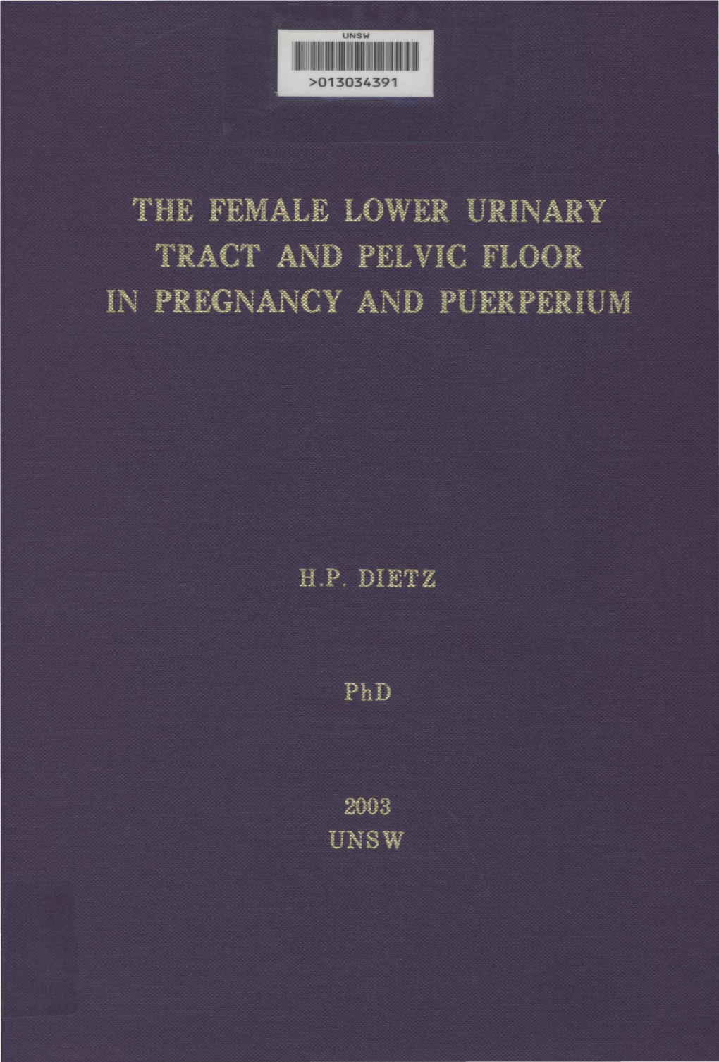 The Female Lower Urinary Tract and Pelvic Floor in Pregnancy and Puerperium