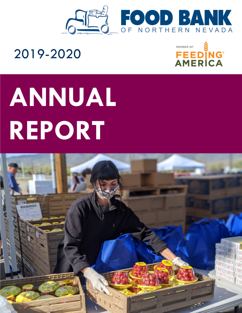 View Our 2020 Annual Report