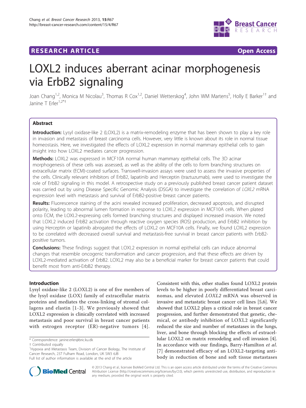 LOXL2 Induces Aberrant Acinar Morphogenesis Via Erbb2 Signaling