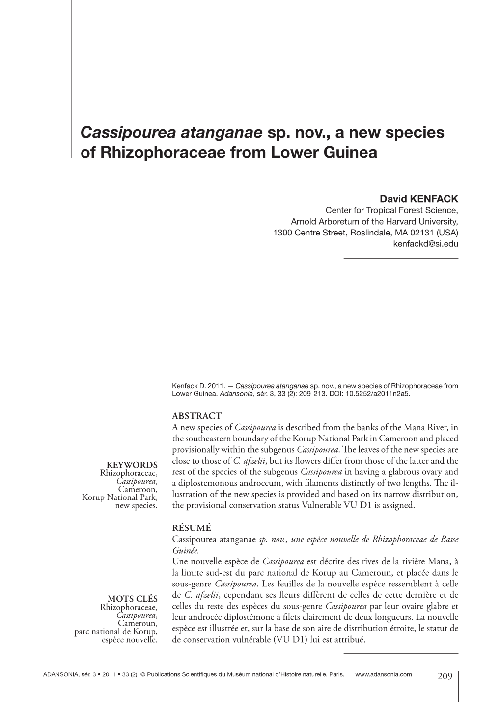 Cassipourea Atanganae Sp. Nov., a New Species of Rhizophoraceae from Lower Guinea