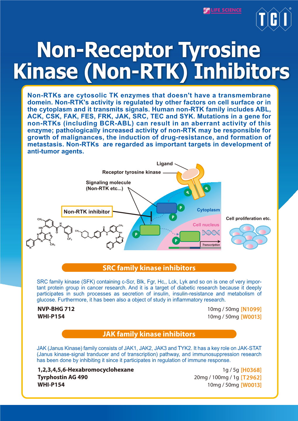 Non-Receptor Tyrosine Kinase (Non-RTK) Inhibitors Non-Rtks Are Cytosolic TK Enzymes That Doesn't Have a Transmembrane Domein