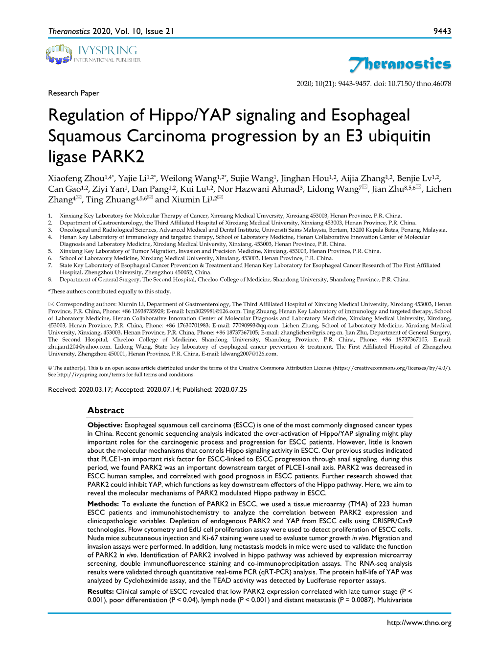 Theranostics Regulation of Hippo/YAP Signaling And