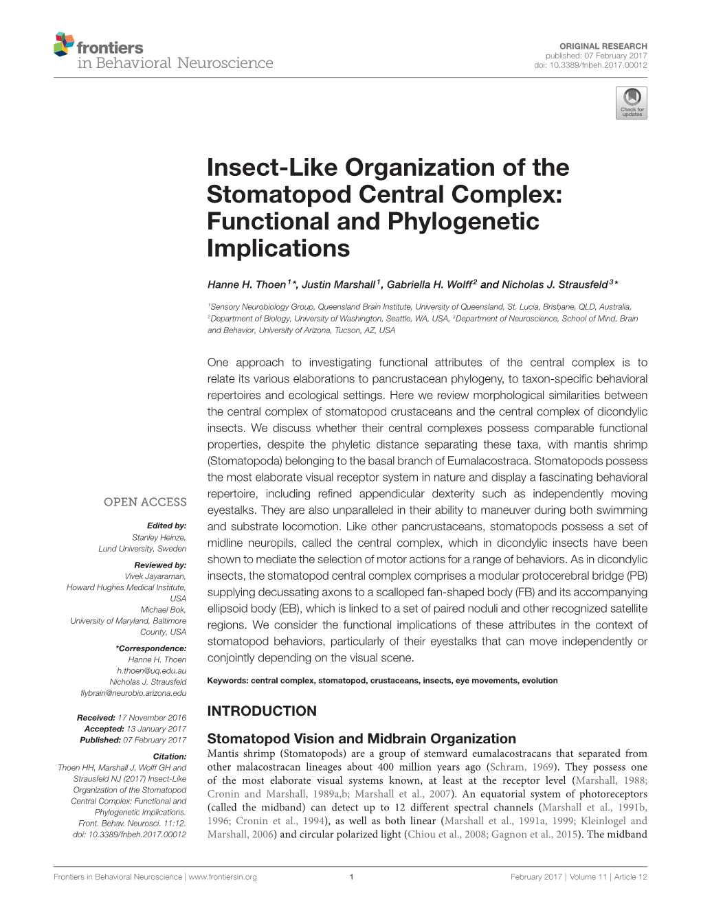 Insect-Like Organization of the Stomatopod Central Complex: Functional and Phylogenetic Implications