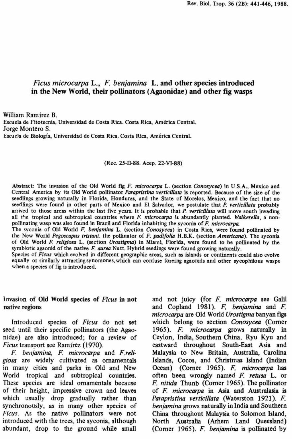 Ficus Microcarpa L., F Benjamina L. and Other Species Introduced in the New World, Their Pollinators (Agaonidae) and Other Fig Wasps