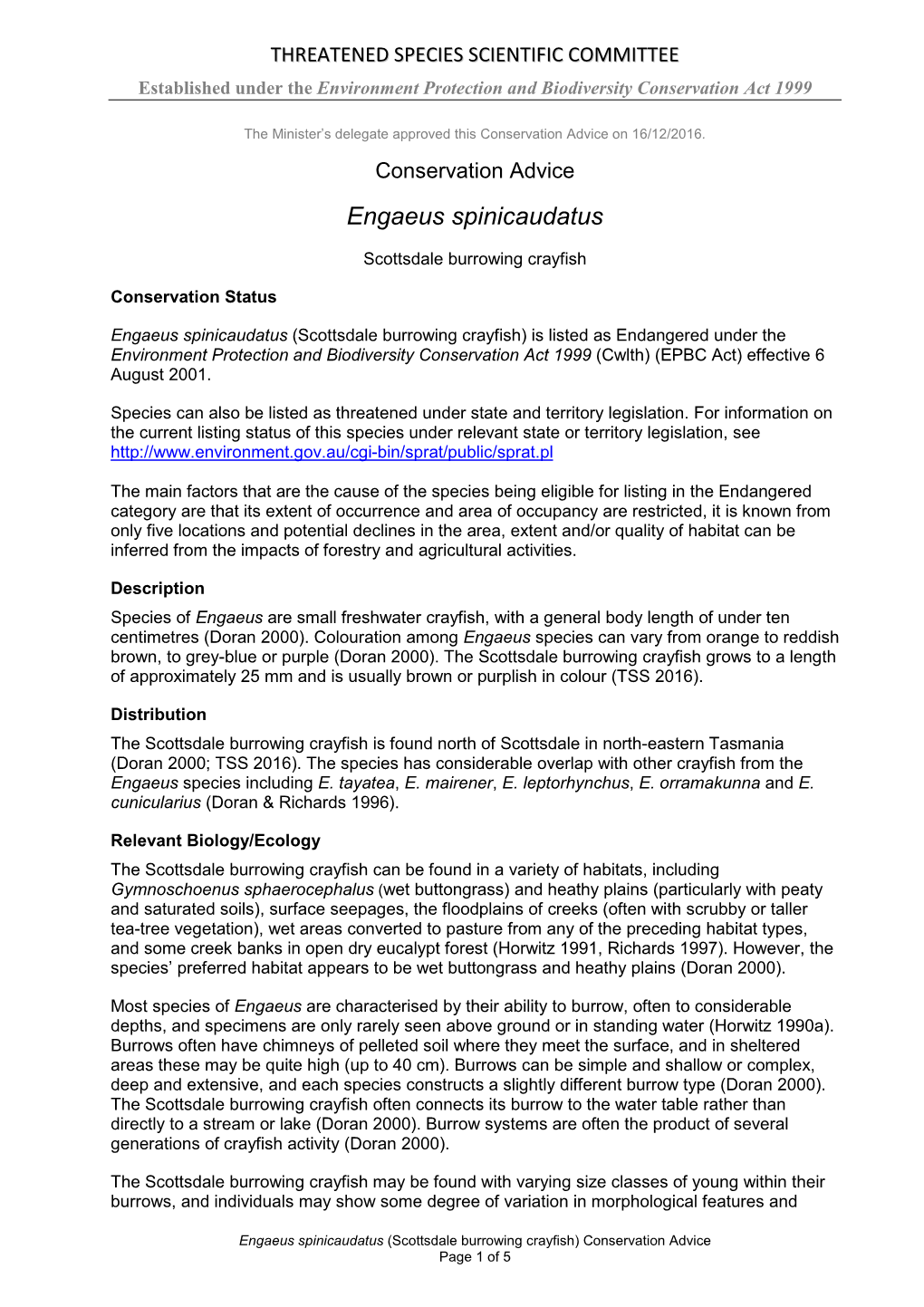 Conservation Advice Engaeus Spinicaudatus Scottsdale Burrowing