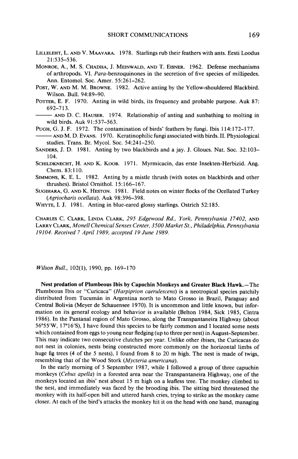 Nest Predation of Plumbeous Ibis by Capuchin Monkeys and Greater