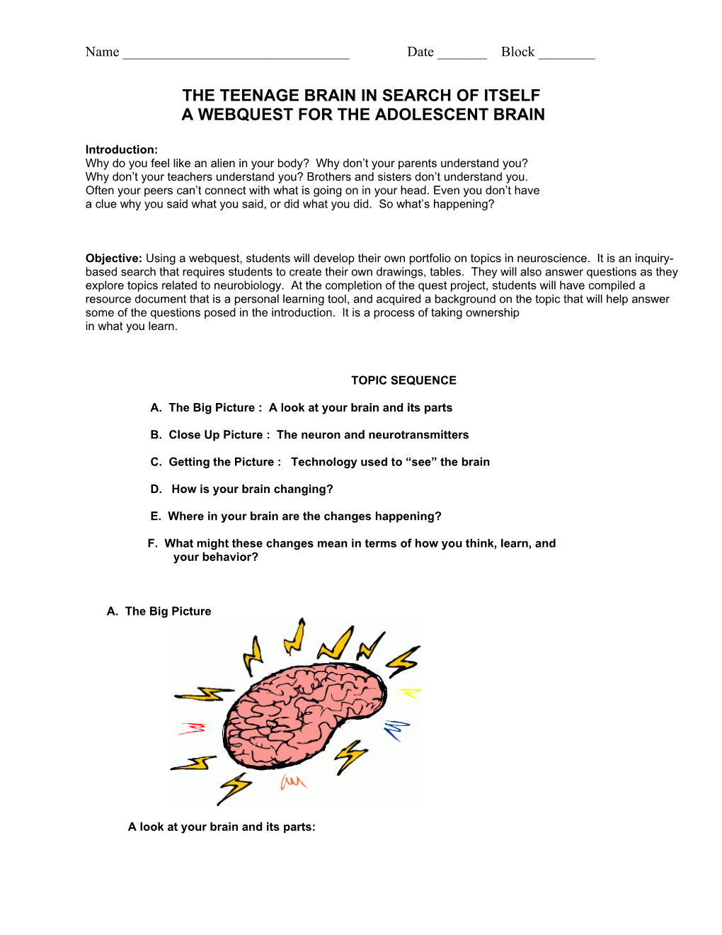 The Teenage Brain Webquest