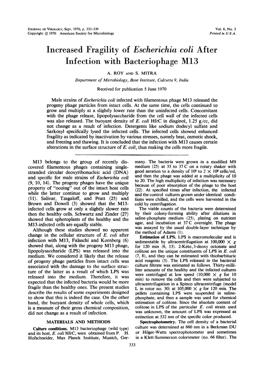 Increased Fragility of Escherichia Coli After Infection with Bacteriophage M13 A